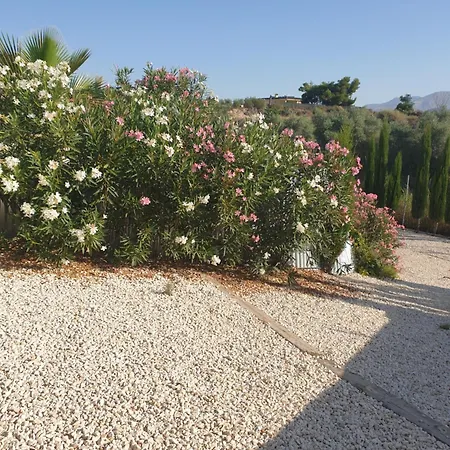Casa De La Vida Liebetruth C Holiday home